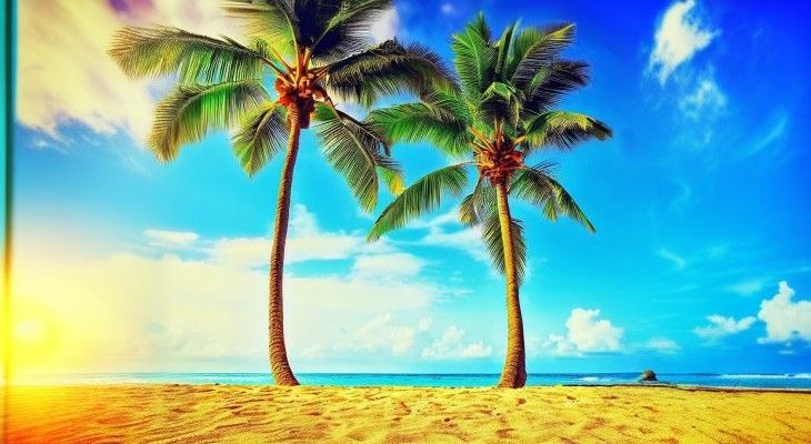 hawaii sunscreen ban